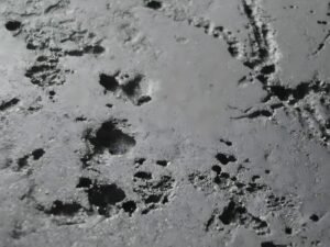 Blogs Pitting Corrosion